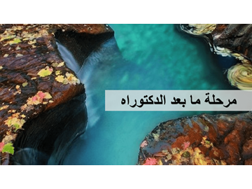 مرحلة ما بعد الدكتوراه